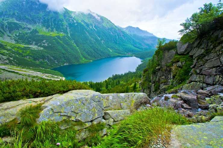 Примеры успешных компаний, следящих за трендами